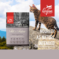 渴望Orijen全价室内伴侣猫粮（肥胖适用） 1.8kg